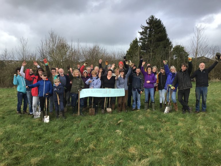 tree planting middle hill